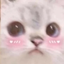:catblushy: